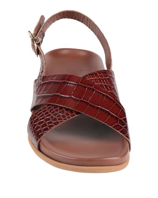 Ancient Greek Sandals Brown Sandals