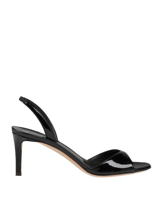 Sandalias Giuseppe Zanotti de color Black