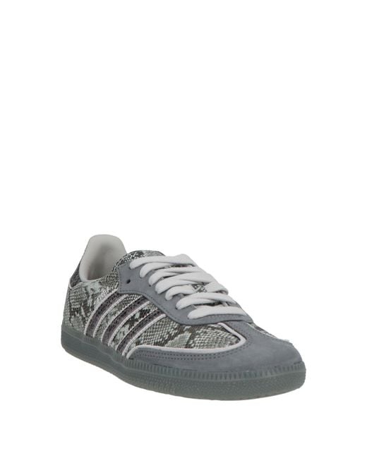 Adidas Originals Gray Trainers