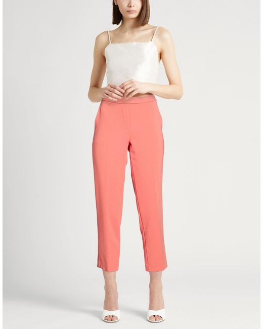 Theory Pink Pants