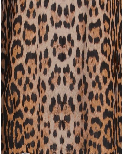 Roberto Cavalli Brown Top