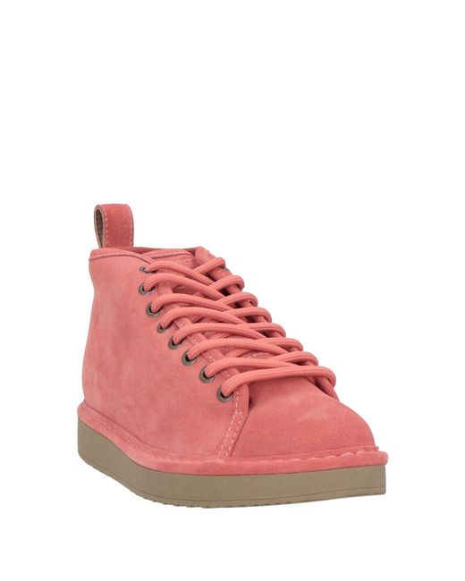 Pànchic Pink Ankle Boots