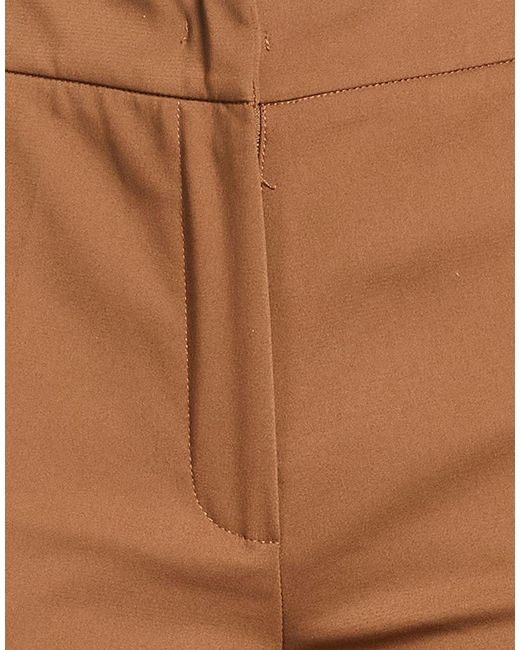 Clips Brown Pants Cotton, Polyester, Elastane