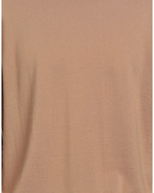 Alpha Studio Brown Jumper for men