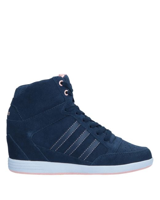 Adidas Neo Blue High-tops & Sneakers