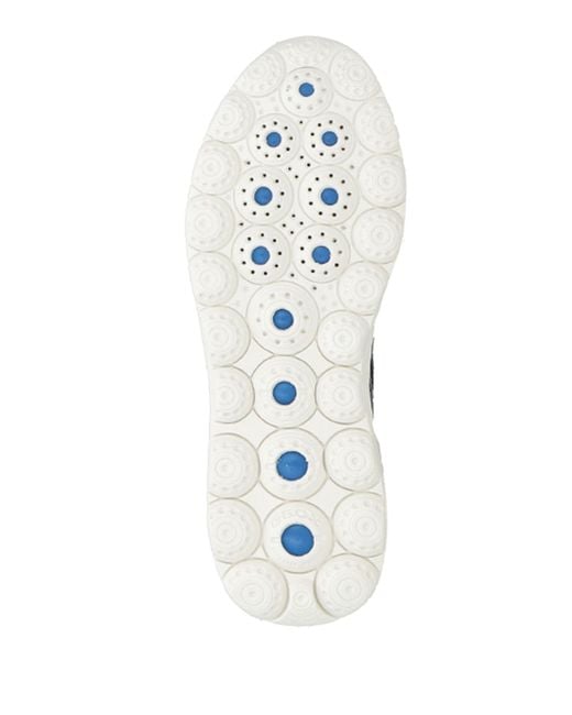 Geox Blue Trainers