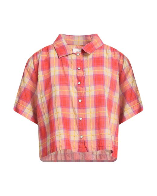 The Great Pink Shirt