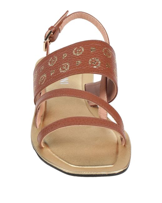 Pollini Brown Sandals Calfskin