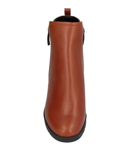 The Flexx Brown Ankle Boots