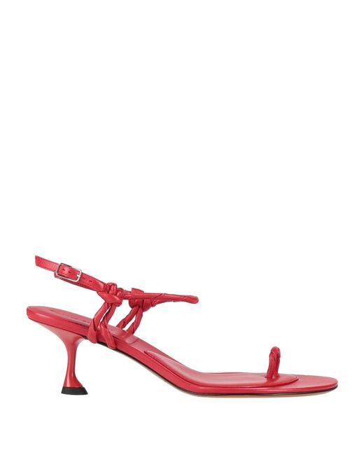 Proenza Schouler Pink Thong Sandal