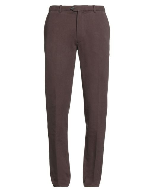Circolo 1901 Hose in Brown für Herren