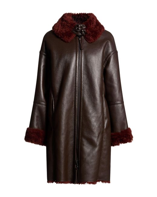 Maliparmi Brown Shearling & Teddy