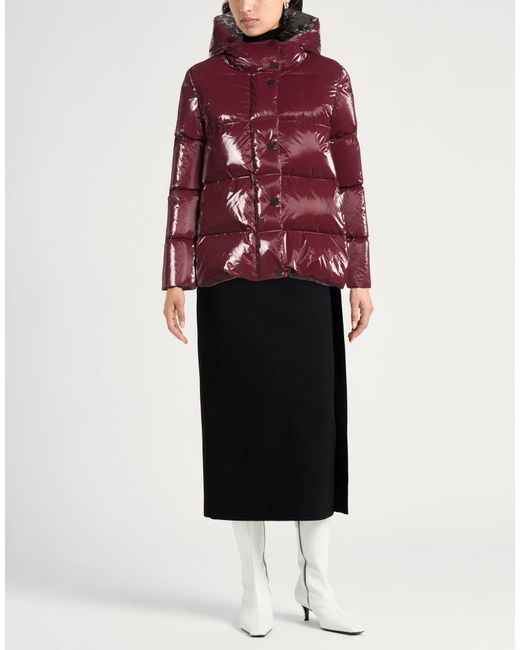Rrd Red Puffers