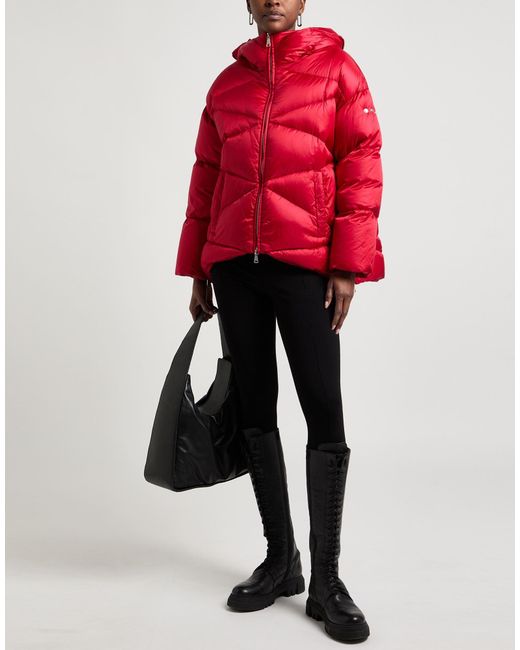 Add Red Puffer