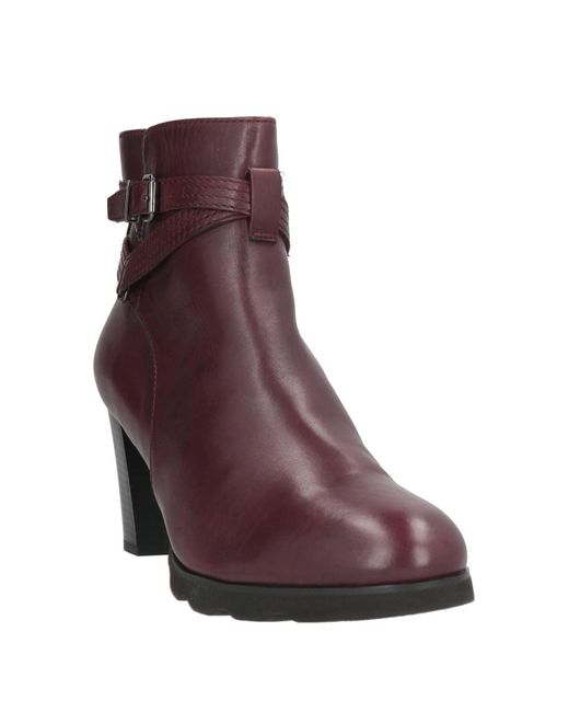 Cinzia Soft Purple Ankle Boots Leather