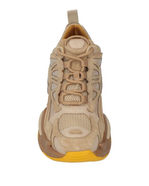 Sandro Brown Trainers