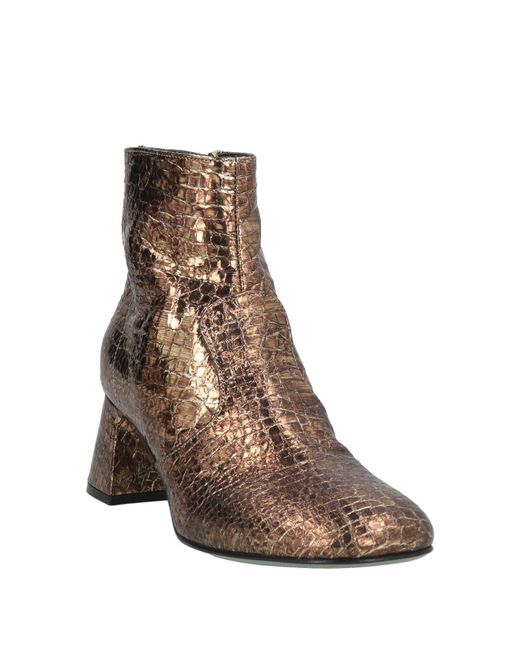 Paola D'arcano Brown Ankle Boots Leather