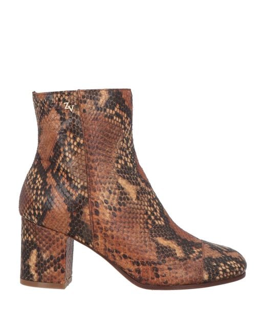 Stivaletti di Zadig & Voltaire in Brown