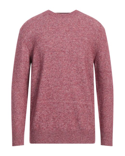 Kangra Pink Sweater for men