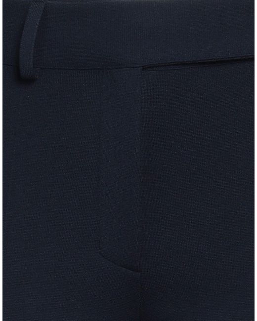 Aeron Blue Pants Viscose, Polyester