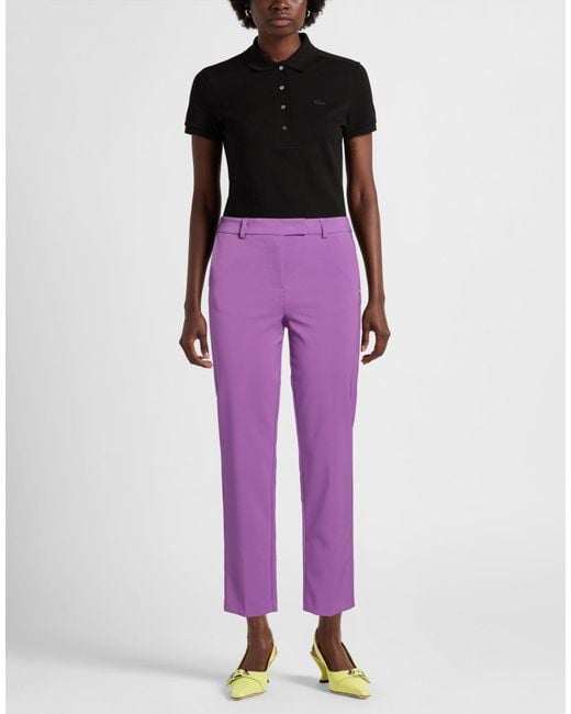 CafeNoir Purple Pants Polyester, Elastane