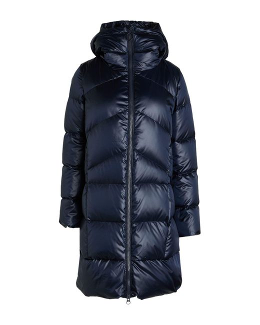 Hox Blue Puffer