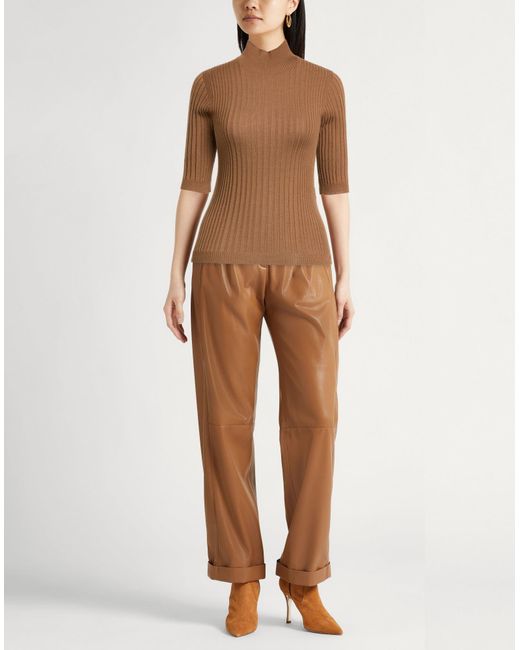 Peserico Brown Turtleneck