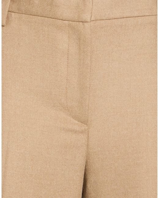 Antonelli Natural Pants Virgin Wool, Viscose, Polyester, Elastane