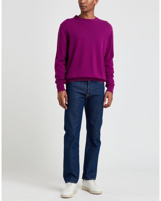 Kangra Purple Sweater Wool, Cashmere for men