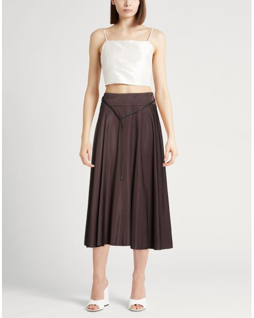 Peserico Brown Midi Skirt