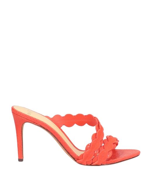 Sandales Alexandre Birman en coloris Pink