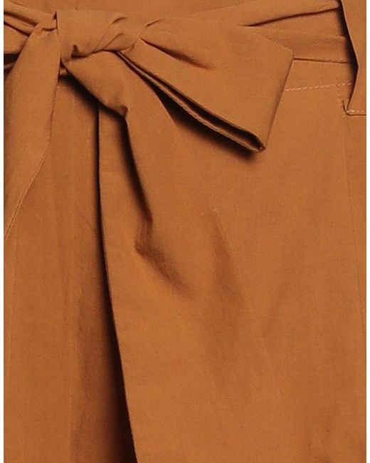 Antonelli Brown Pants Cotton