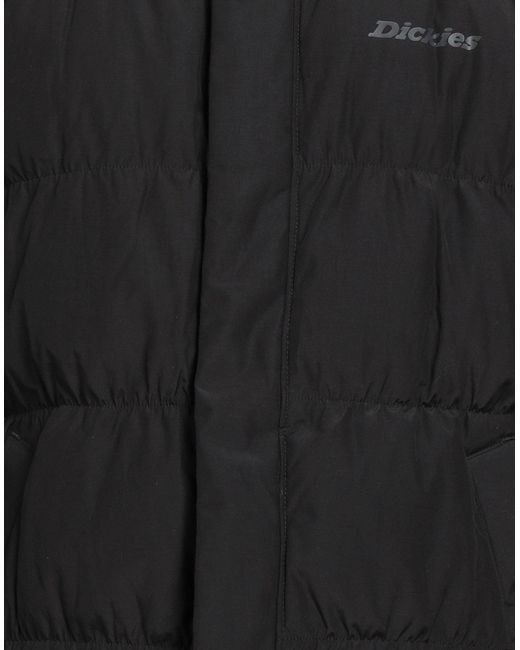 Dickies Black Puffer Cotton, Polyester for men