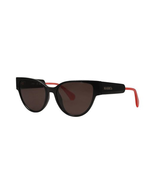 MAX&Co. Brown Sunglasses