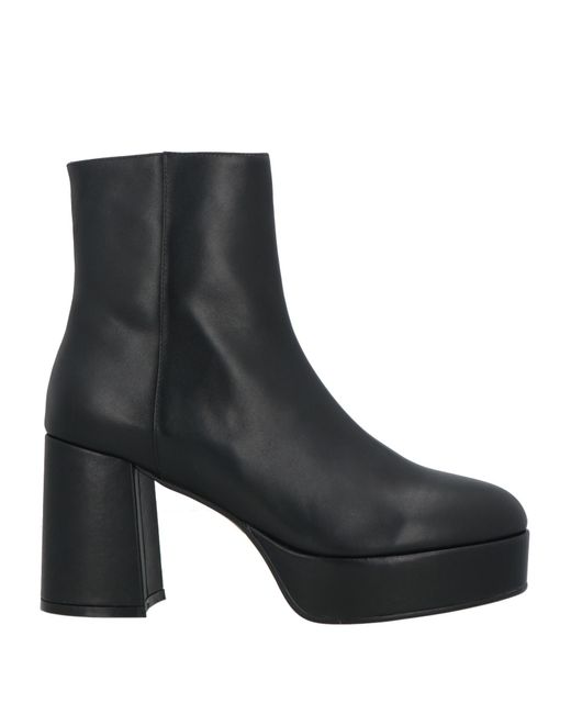 Bibi Lou Black Ankle Boots Leather