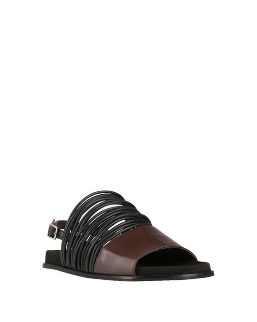Collection Privée Black Sandals