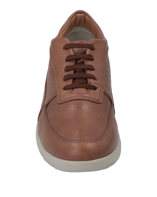 Stonefly Brown Trainers for men
