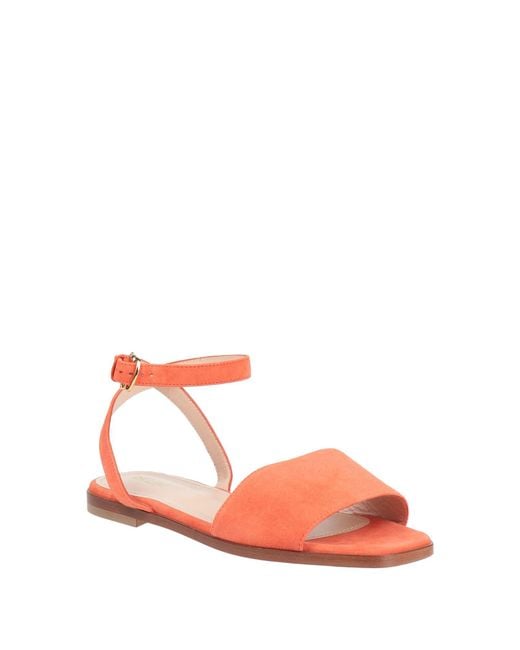Pollini Pink Sandals