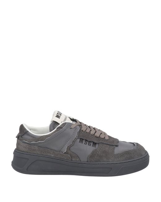 MSGM Gray Trainers