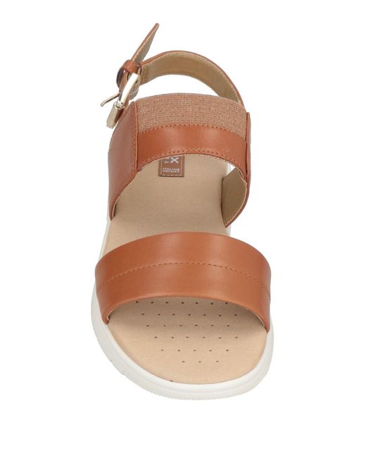 Geox Brown Sandals