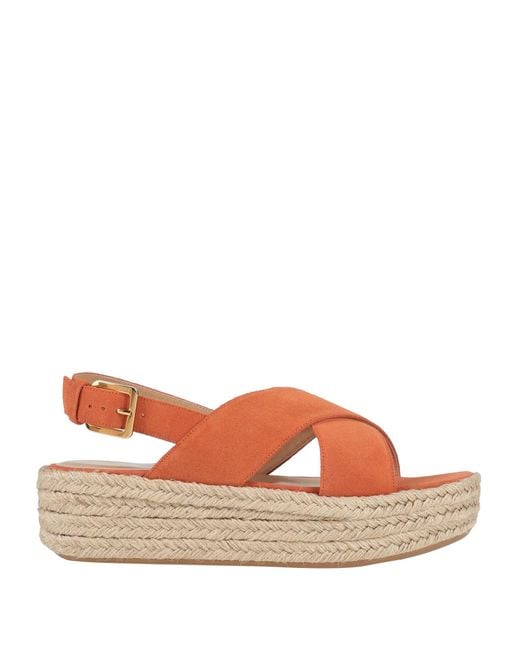 Sergio Rossi Brown Espadrilles