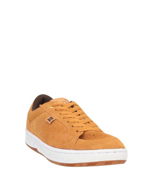 DC Shoes Natural Sneakers for men