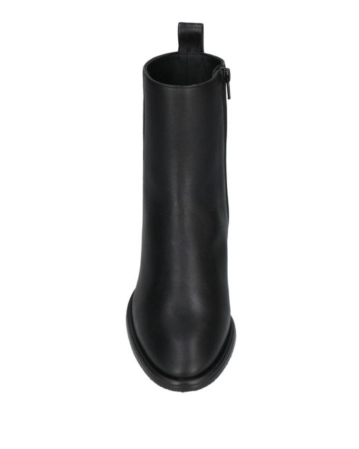 Eqüitare Black Ankle Boots