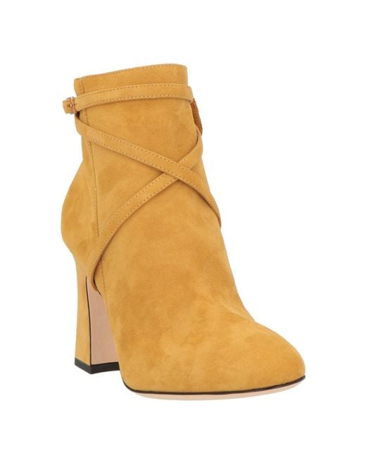 Pollini Brown Stiefelette