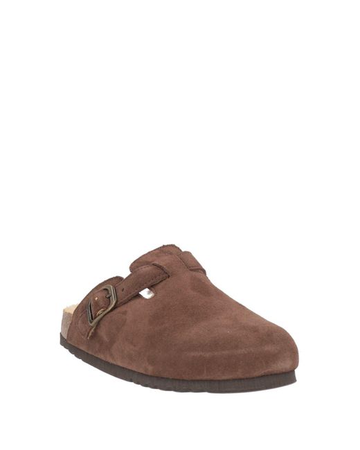 Scholl Brown Mules & Clogs