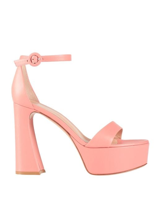 Gianvito Rossi Pink Sandals