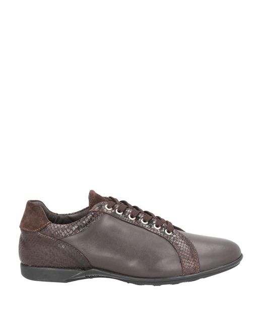 Roberto Botticelli Brown Trainers for men