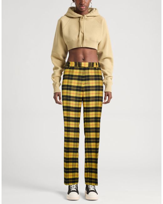 Berwich Yellow Pants Virgin Wool, Viscose, Elastane