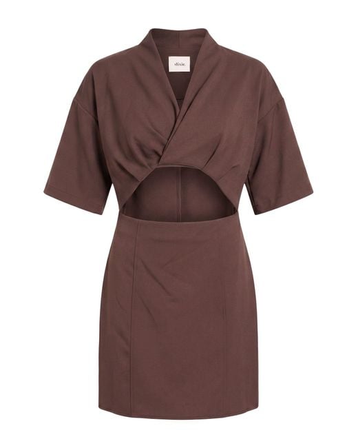 Dixie Brown Mini Dress