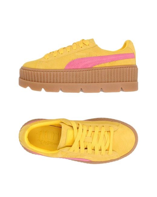 puma creeper